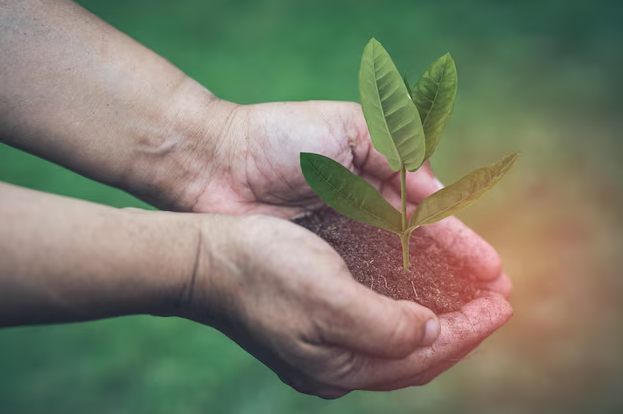 Respect de l’environnement