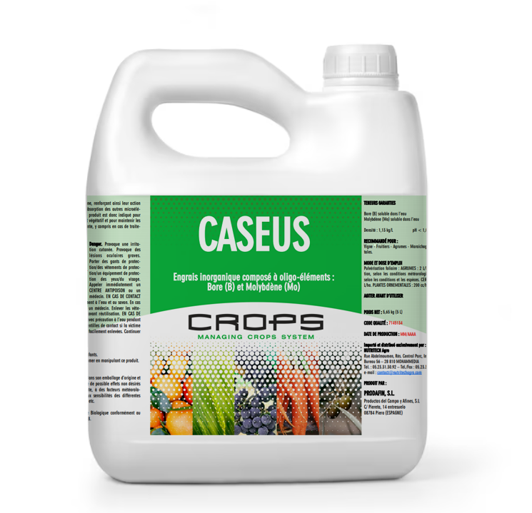 CROPS CASEUS