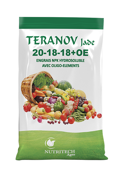 TERANOV-JADE