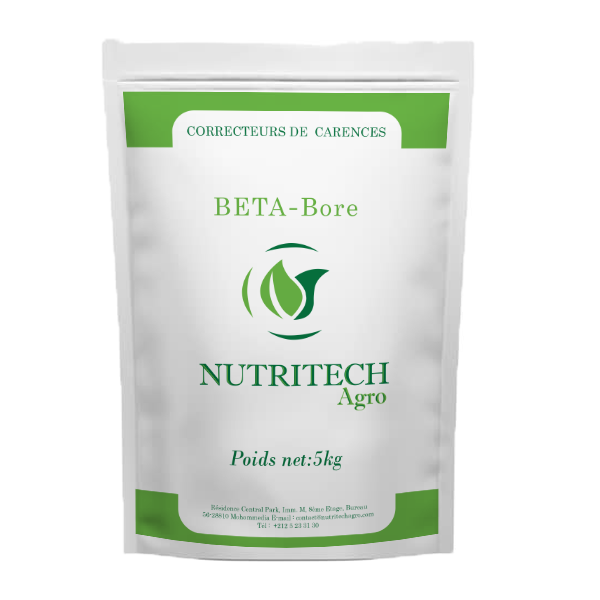 BETA BORE