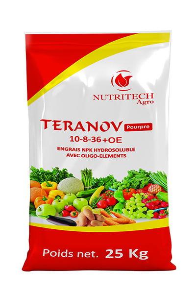 TERANOV POURPRE